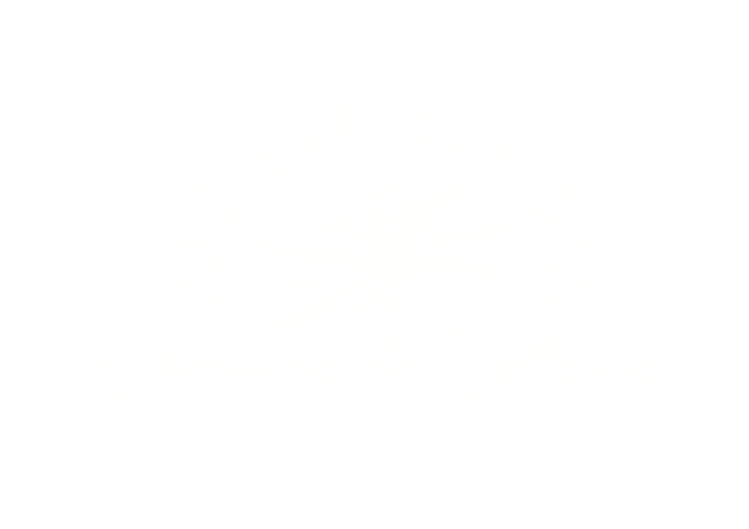 Le Domaine de Bellevue