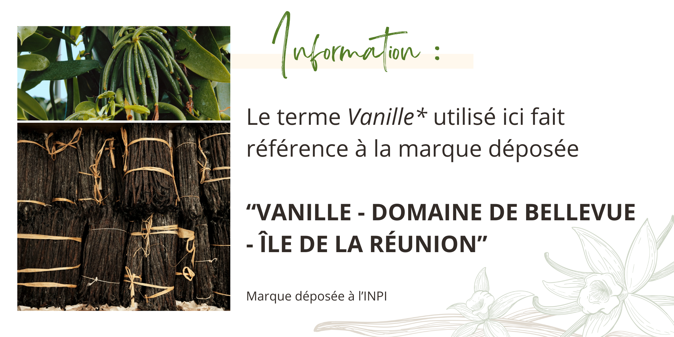 Terme Vanille Domaine de Bellevue